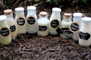 Kefir Grains India