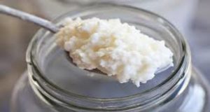 Buy Kefir Grains Online in Bangalore, Kefir Grains Online Karnataka, Best Quality Homemade Kefir Price Bengaluru, Pure Kefir Grains for Sale in Bangalore, Where To Buy Kefir Grains in Bangalore