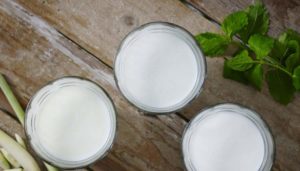 Buy Kefir Grains Online Madhya Pradesh