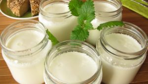 Buy Kefir Grains Online in Delhi