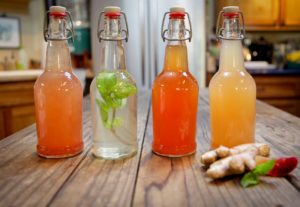 Buy Water Kefir Grains Online in India