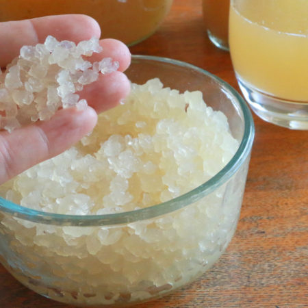 Buy Water Kefir Grains in India