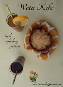 where-to-buy-kefir-in-india-milk-kefir-and-water-kefir-grains-in-india