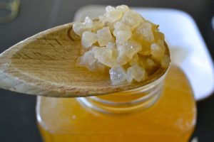 Buy Kefir Grains online in Nagpur