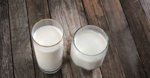 Buy live kefir grains online in noida