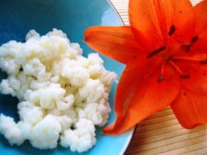 Buy Organic Live milk kefir starter grains in Dubai & UAE Online - Best Quality Kefir Grains