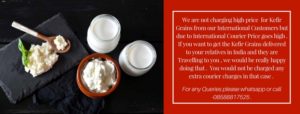 Buy Kefir Grains in Dubai